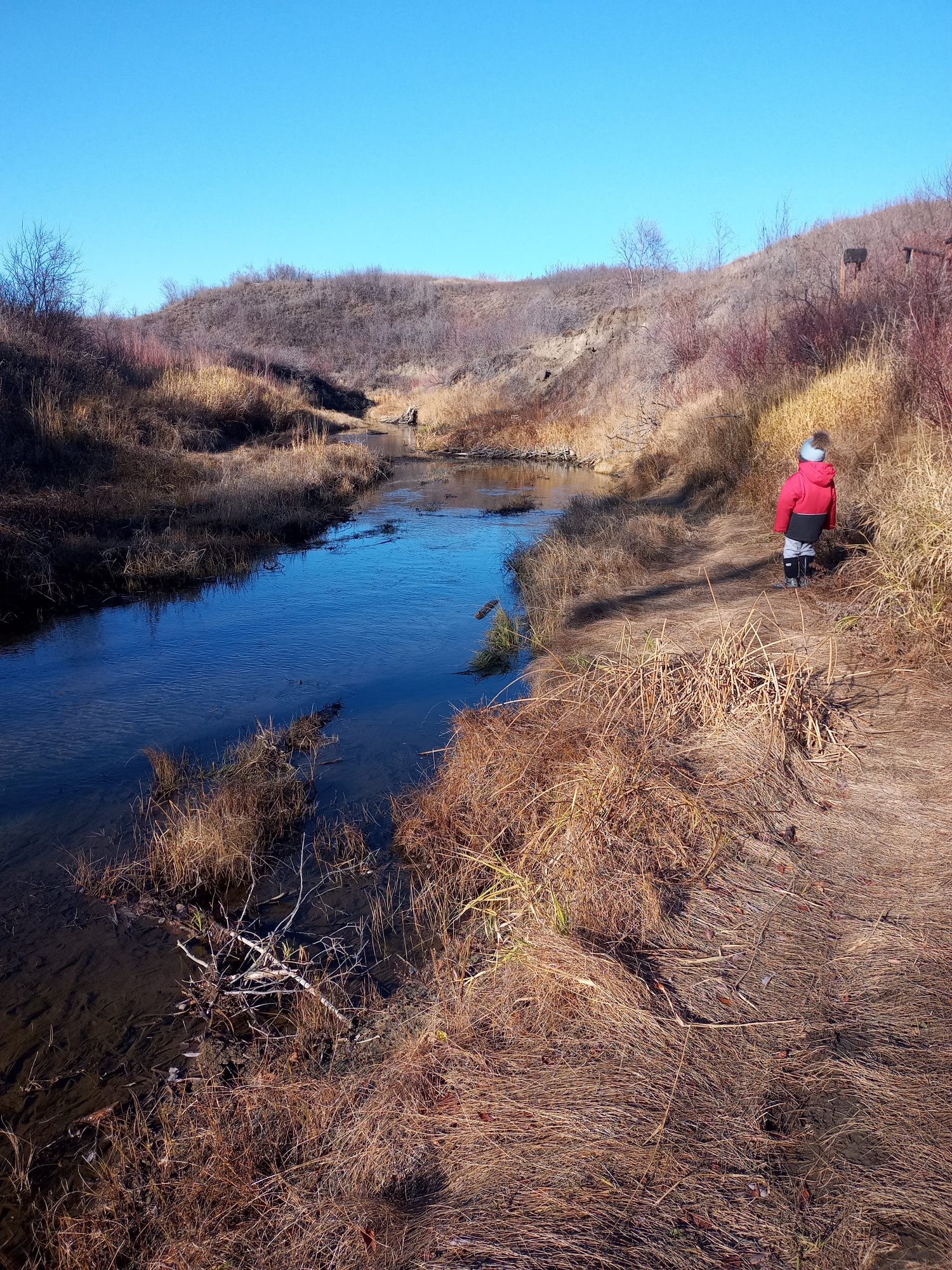 Otoño Beaty en Beaver Creek