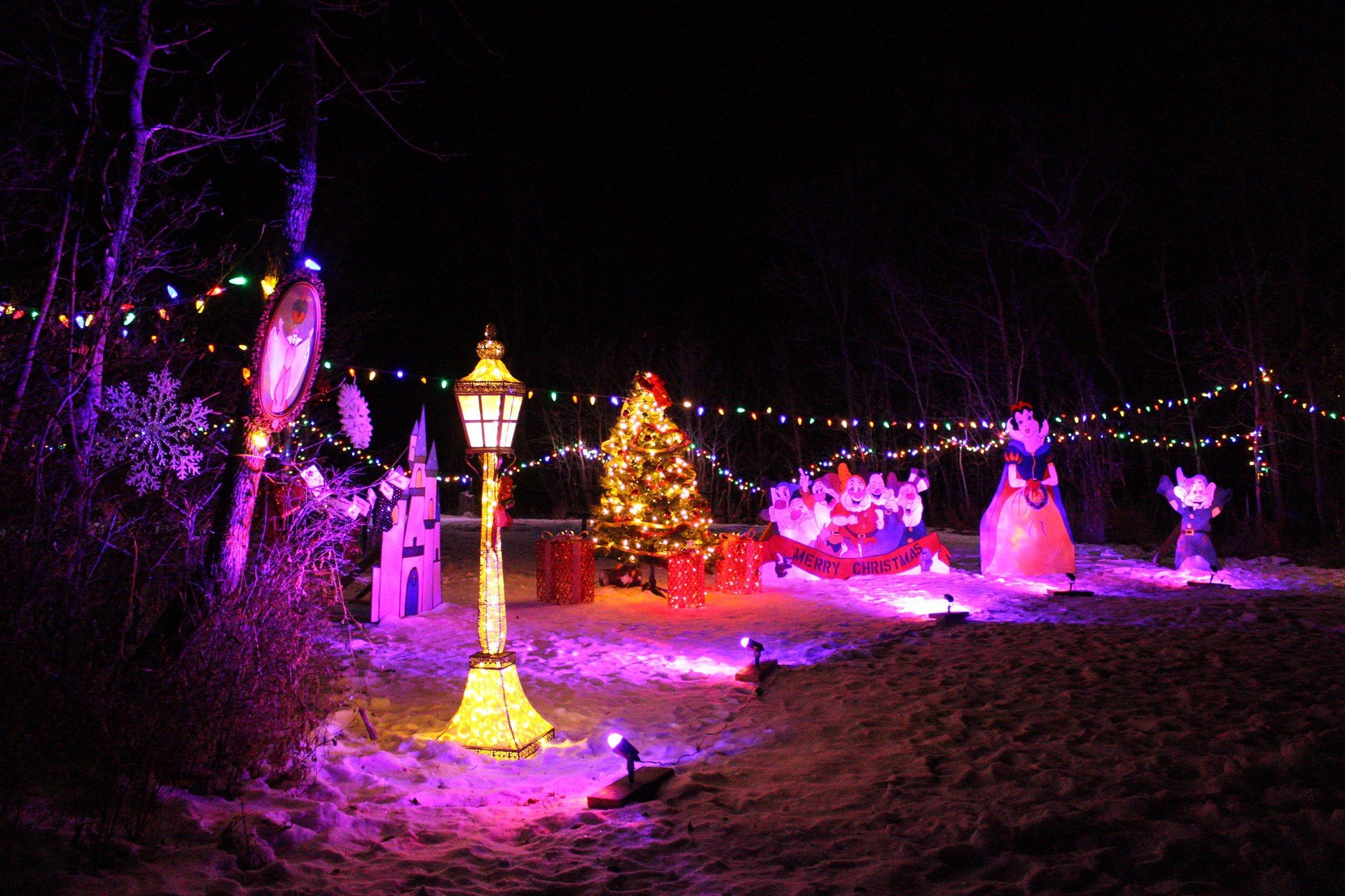 Pike Lake Festival of Lights