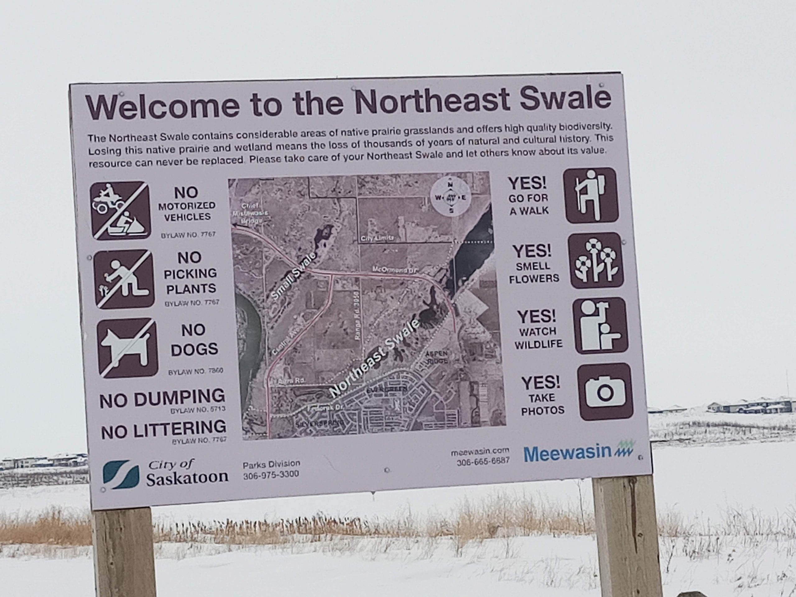 The Northeast Swale Saskatoon