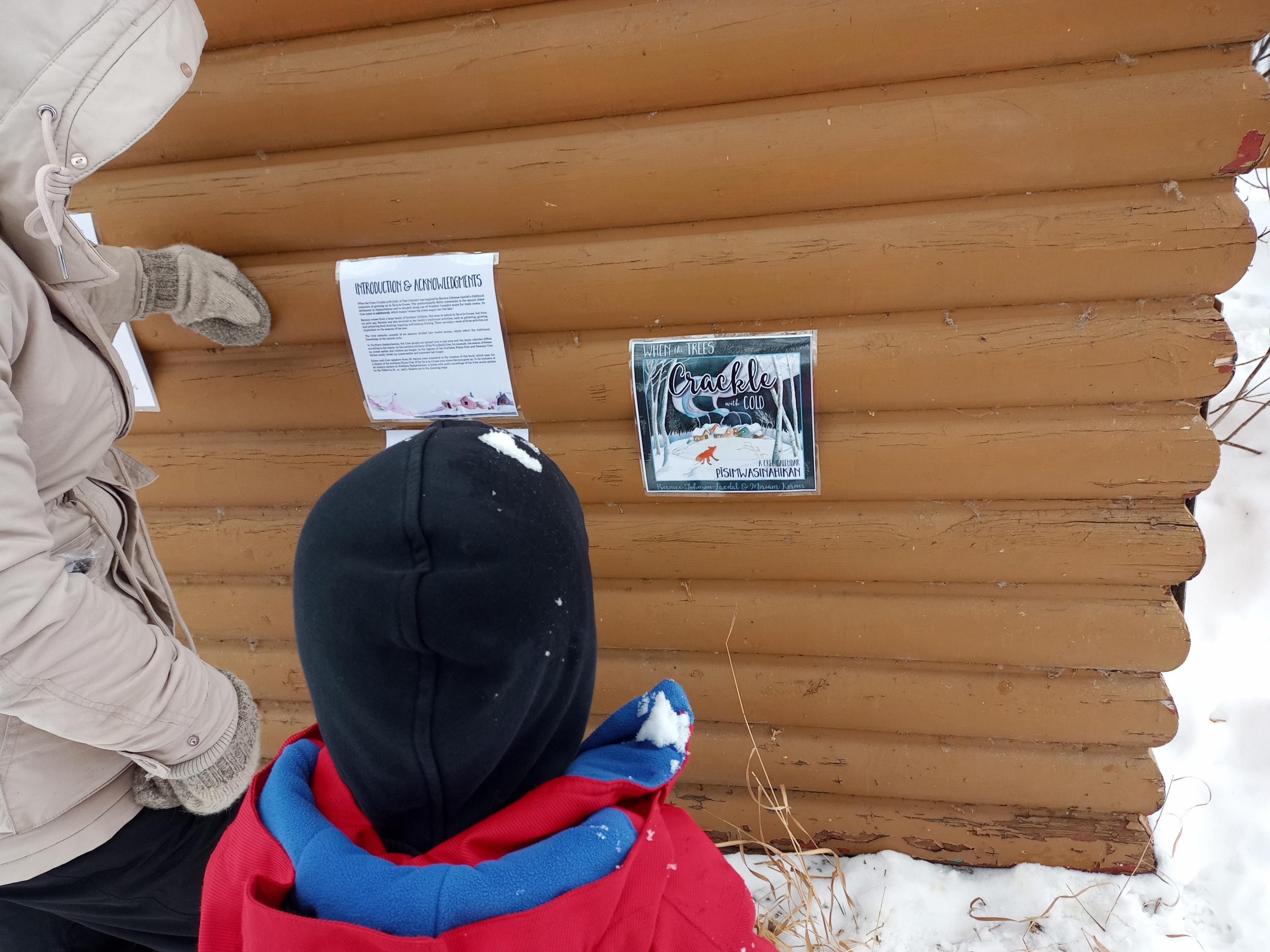 Pays des merveilles hivernales au lac Pike