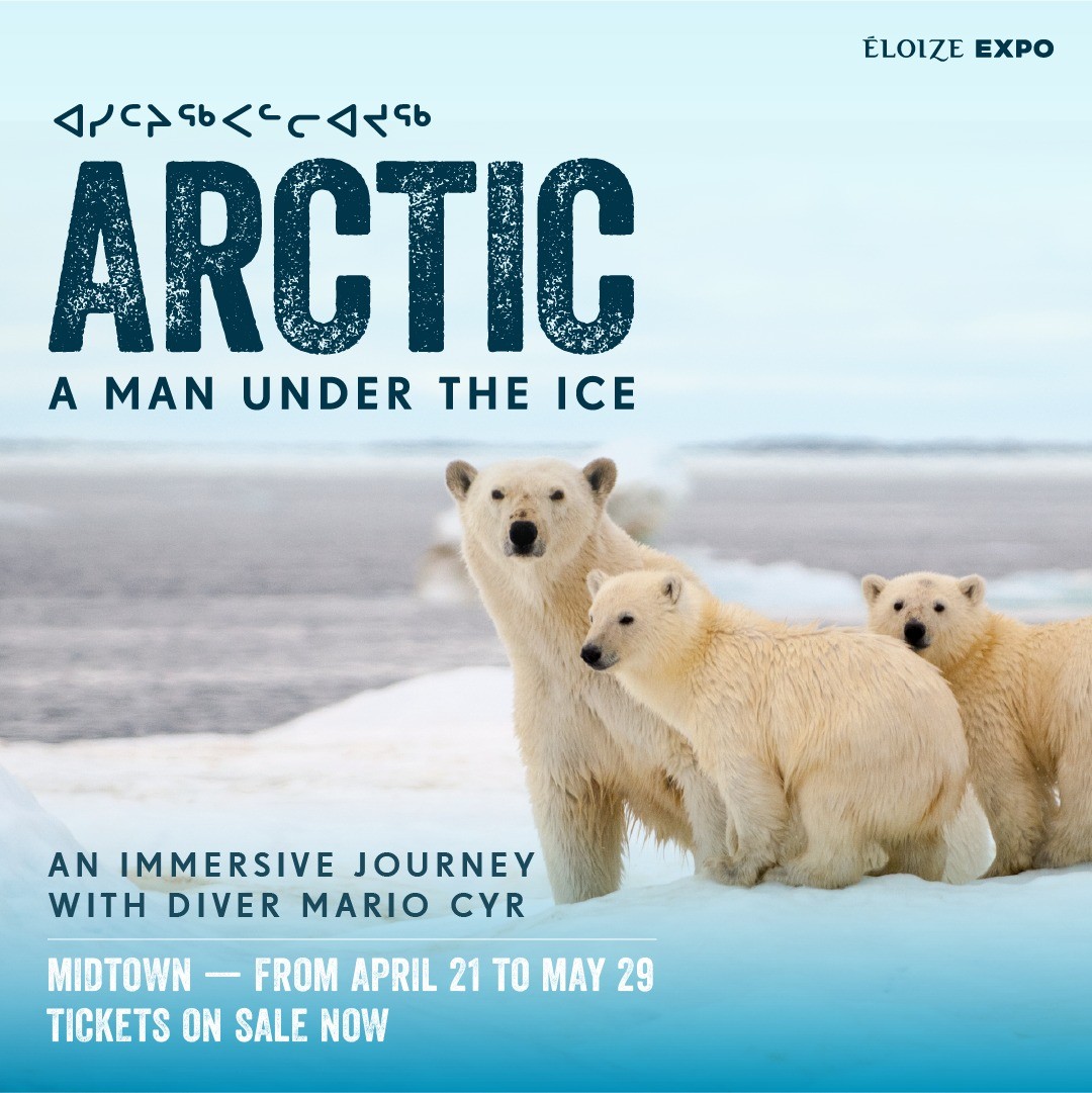 ARCTIC – A MAN UNDER THE ICE