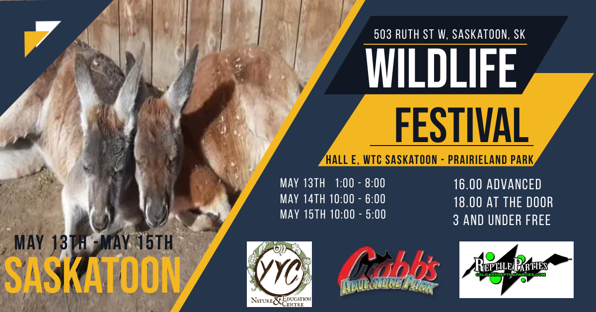 Saskatoon Wildlife Festival