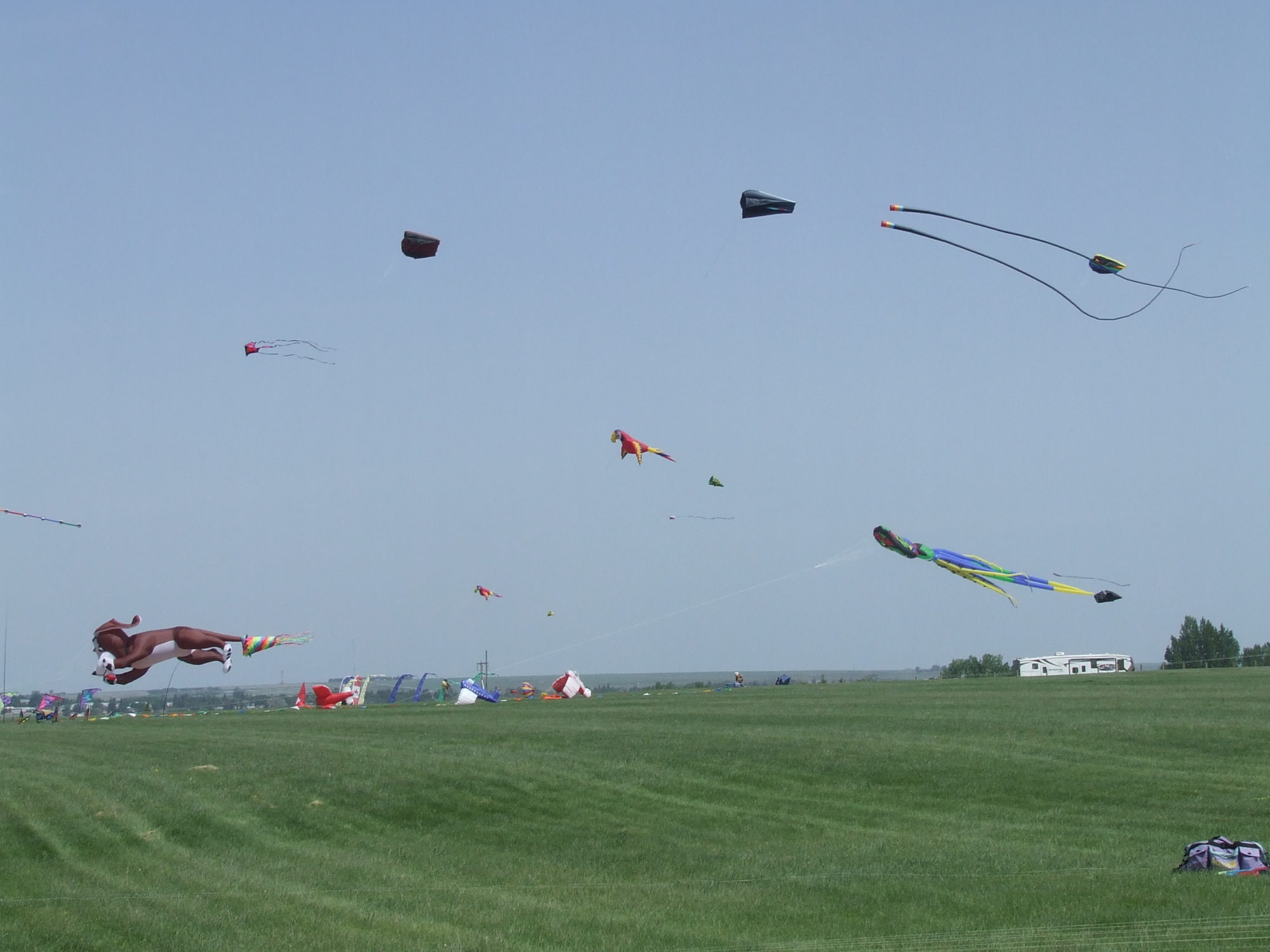 We Flew A Kite! At the SaskPower Windscape Kite Festival in Swift