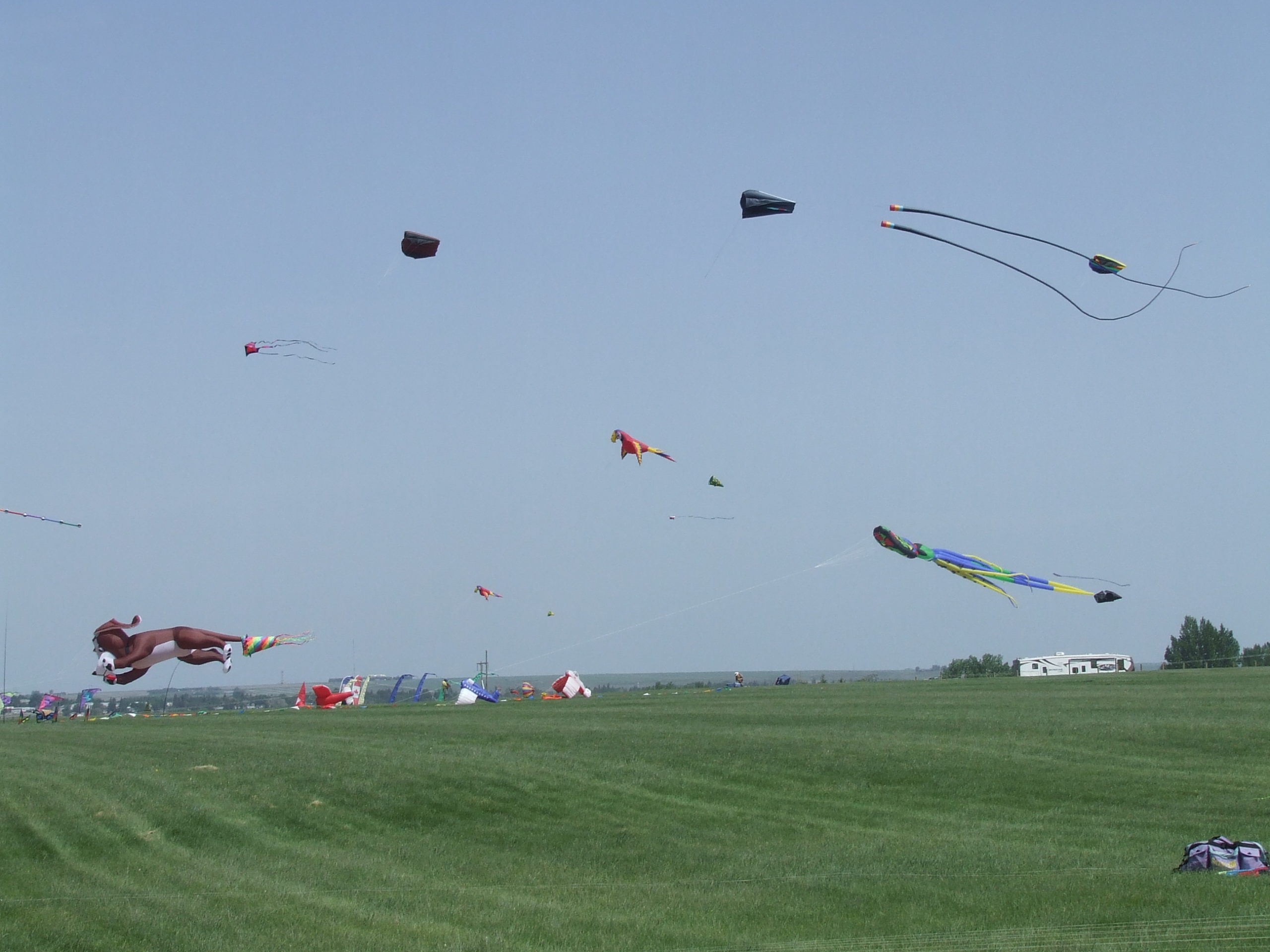 We Flew A Kite! At the SaskPower Windscape Kite Festival in Swift Current!