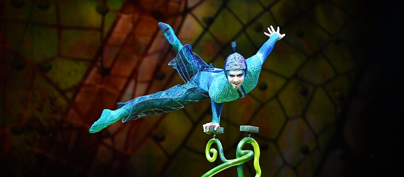 Cirque du Soleil: OVO