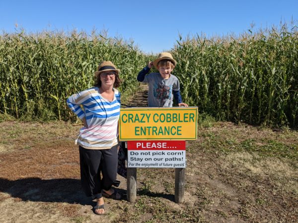 Aventuras en el laberinto de maíz