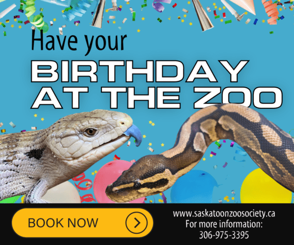Geburtstag im Zoo