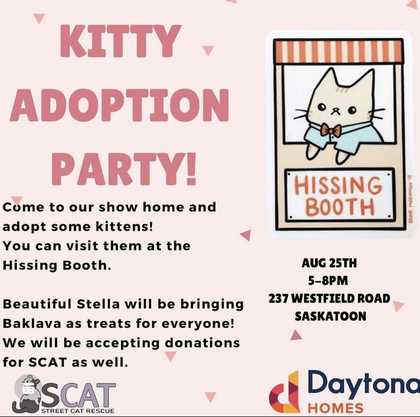 Kitty Adoption Party with Daytona Homes