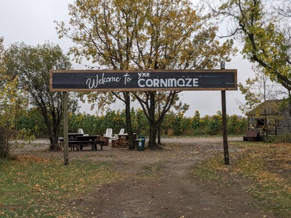 YXE Corn Maze