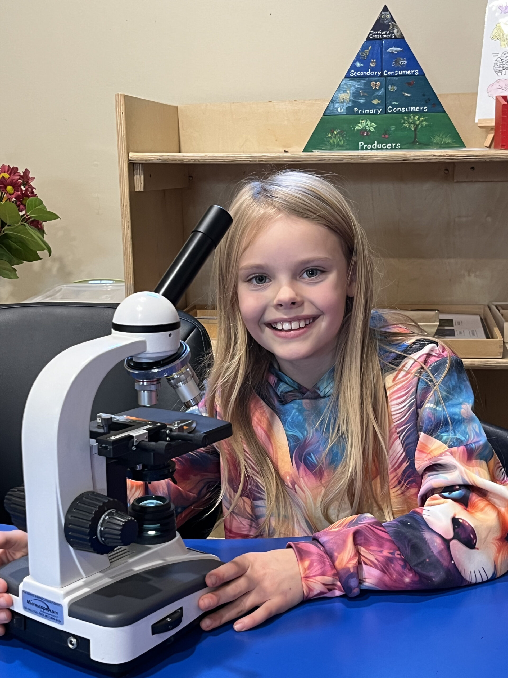 Brilliant Star Montessori