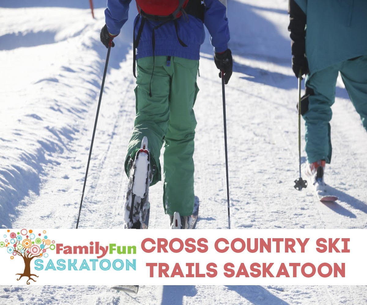 Cross-Country Ski in Saskatoon