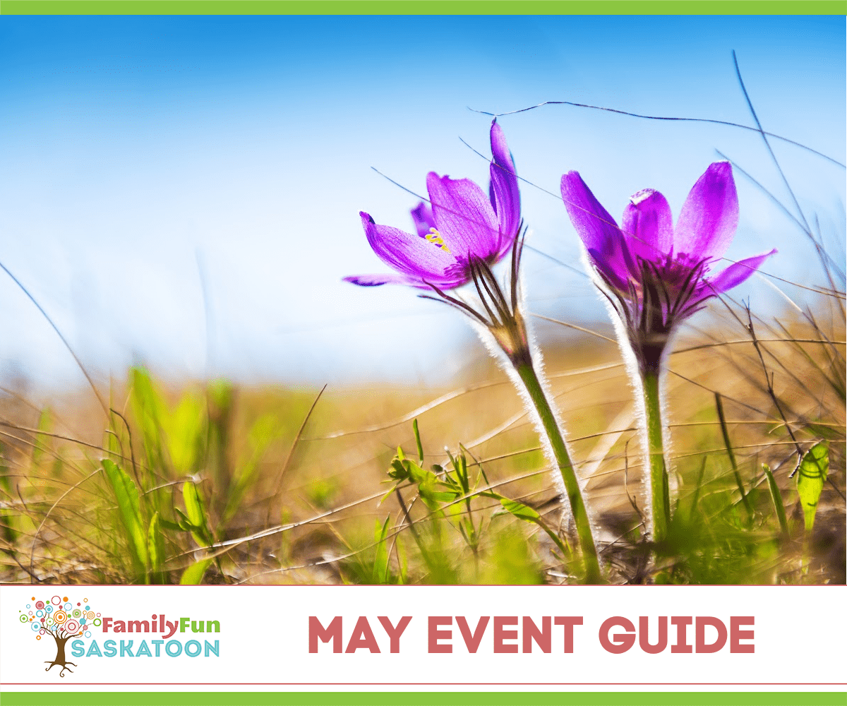 Mai Saskatoon Event Guide