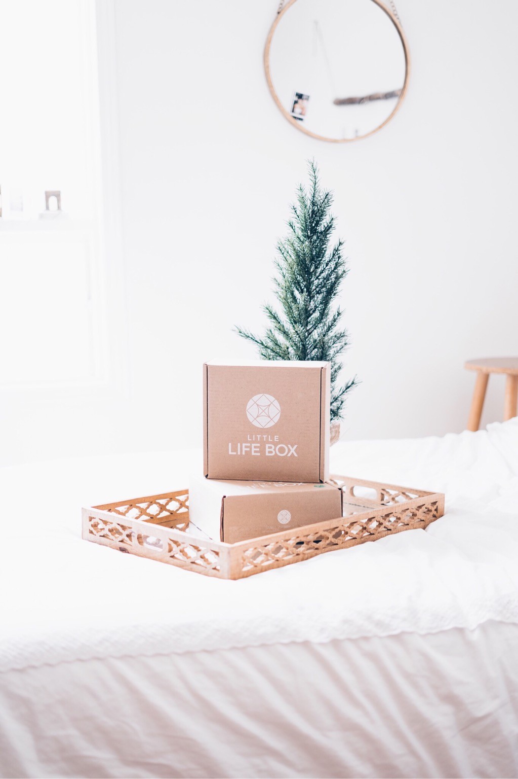 Little Life Box