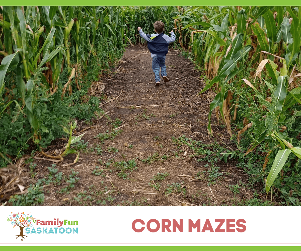 Saskatchewan Corn Mazes