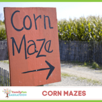 Corn Mazes