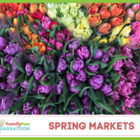 Saskatoon Spring Craft Fairs