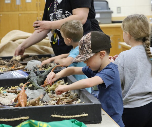 Museum of Natural Sciences Summer Camps