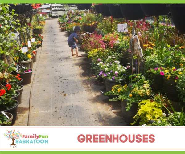 Saskatoon Greenhouses