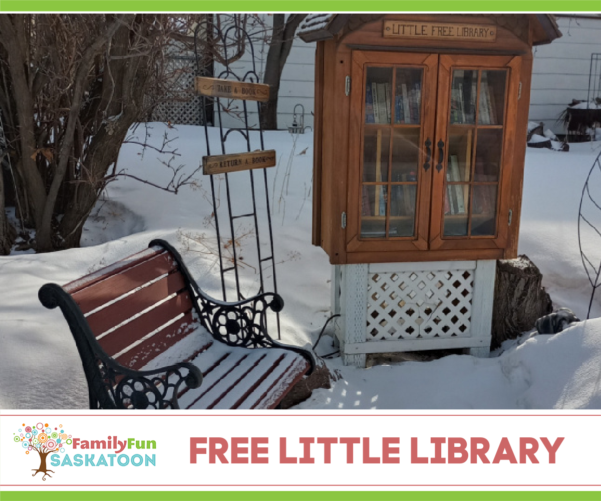 Free Little Libraries