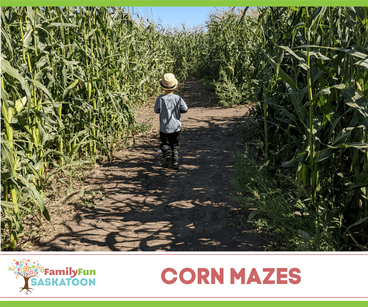 Saskatchewan Corn Mazes