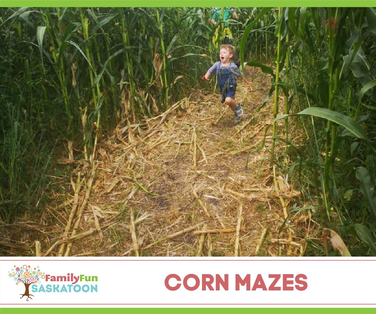 Saskatchewan Corn Mazes