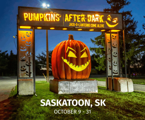 Pumpkins After Dark