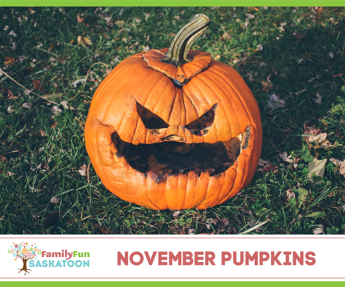 Pumpkins in November