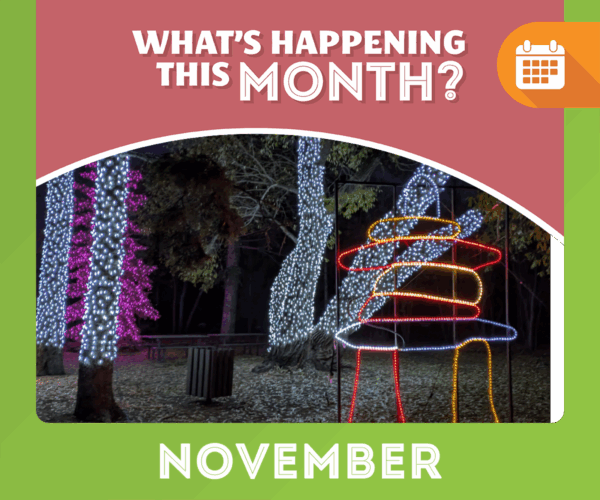 November Saskatoon Event Guide