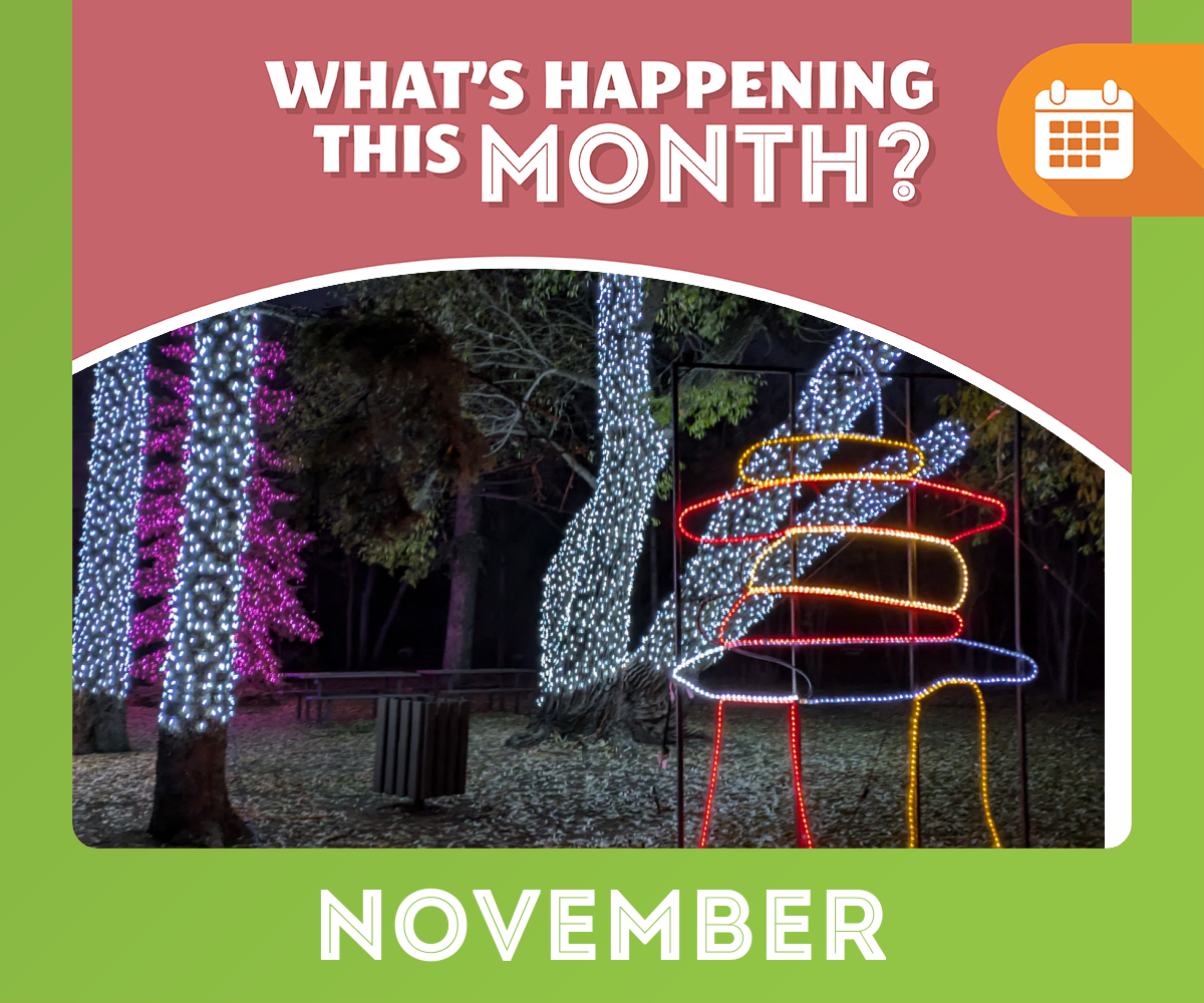 November Saskatoon Event Guide