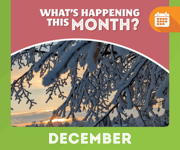 December Event Guide