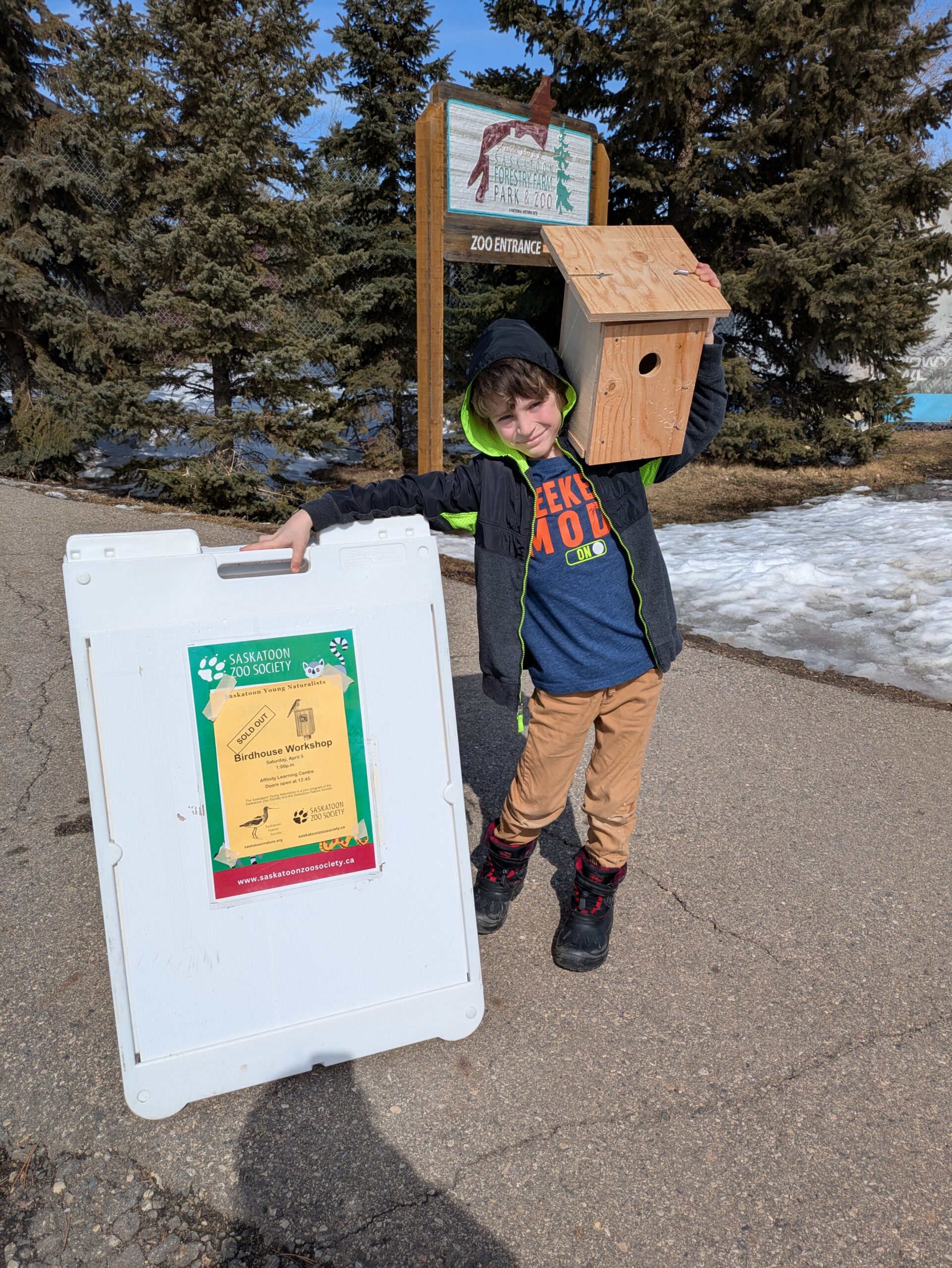 birdhouses with young naturalists