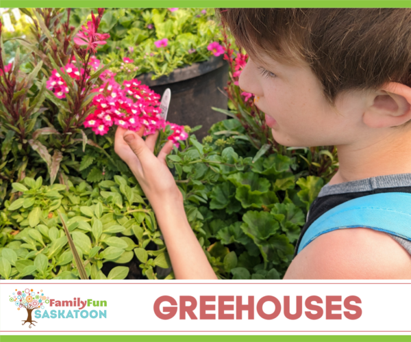 Saskatoon Greenhouses