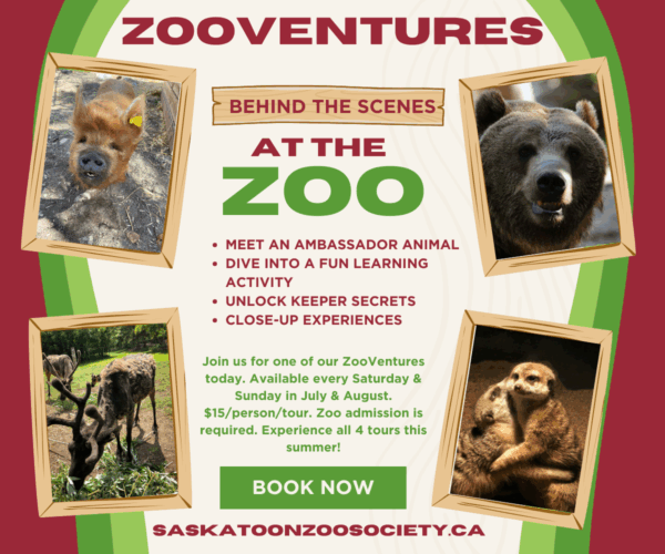 ZooVentures: Creature Close-ups