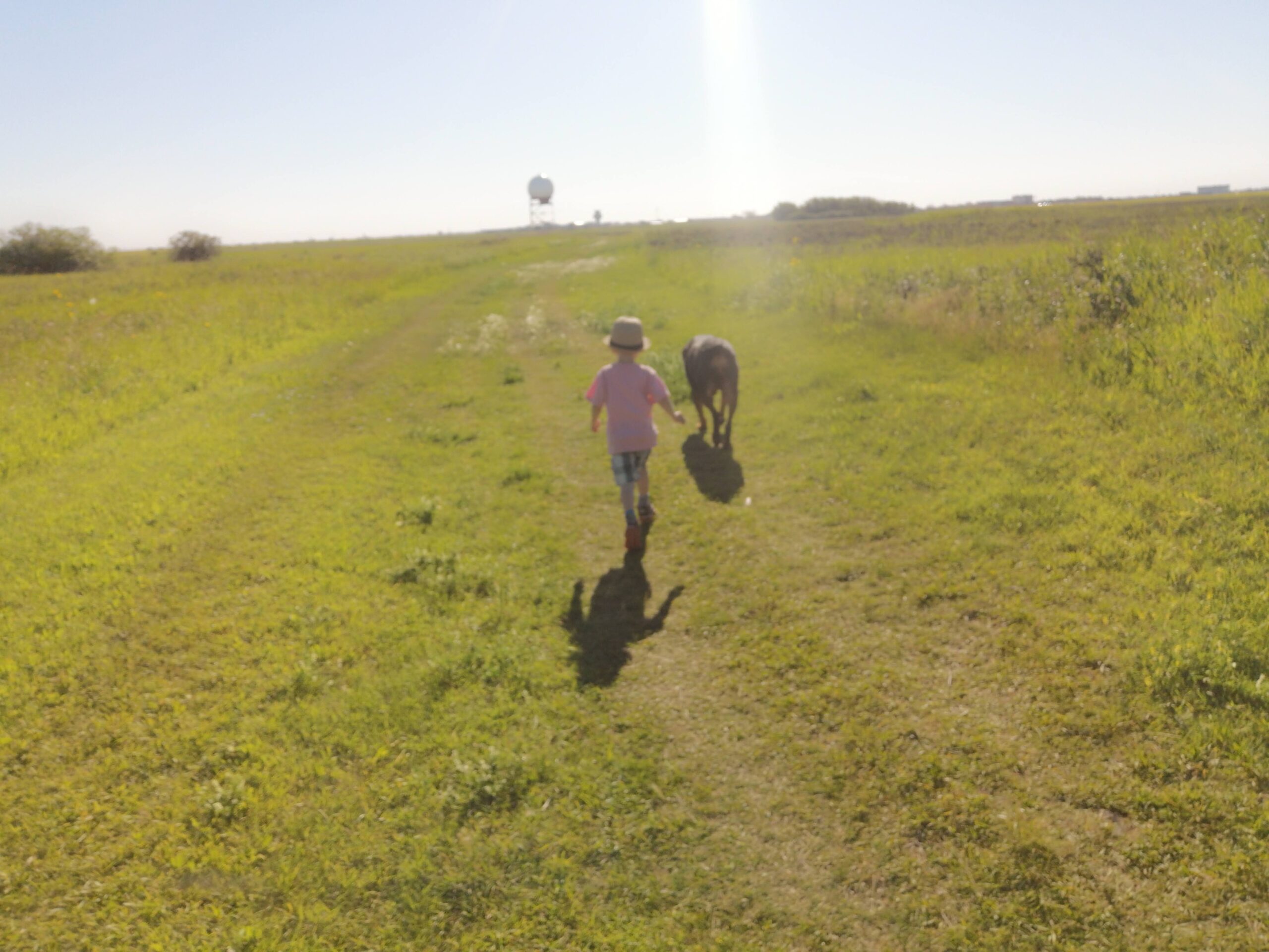 Saskatoon Dog Parks