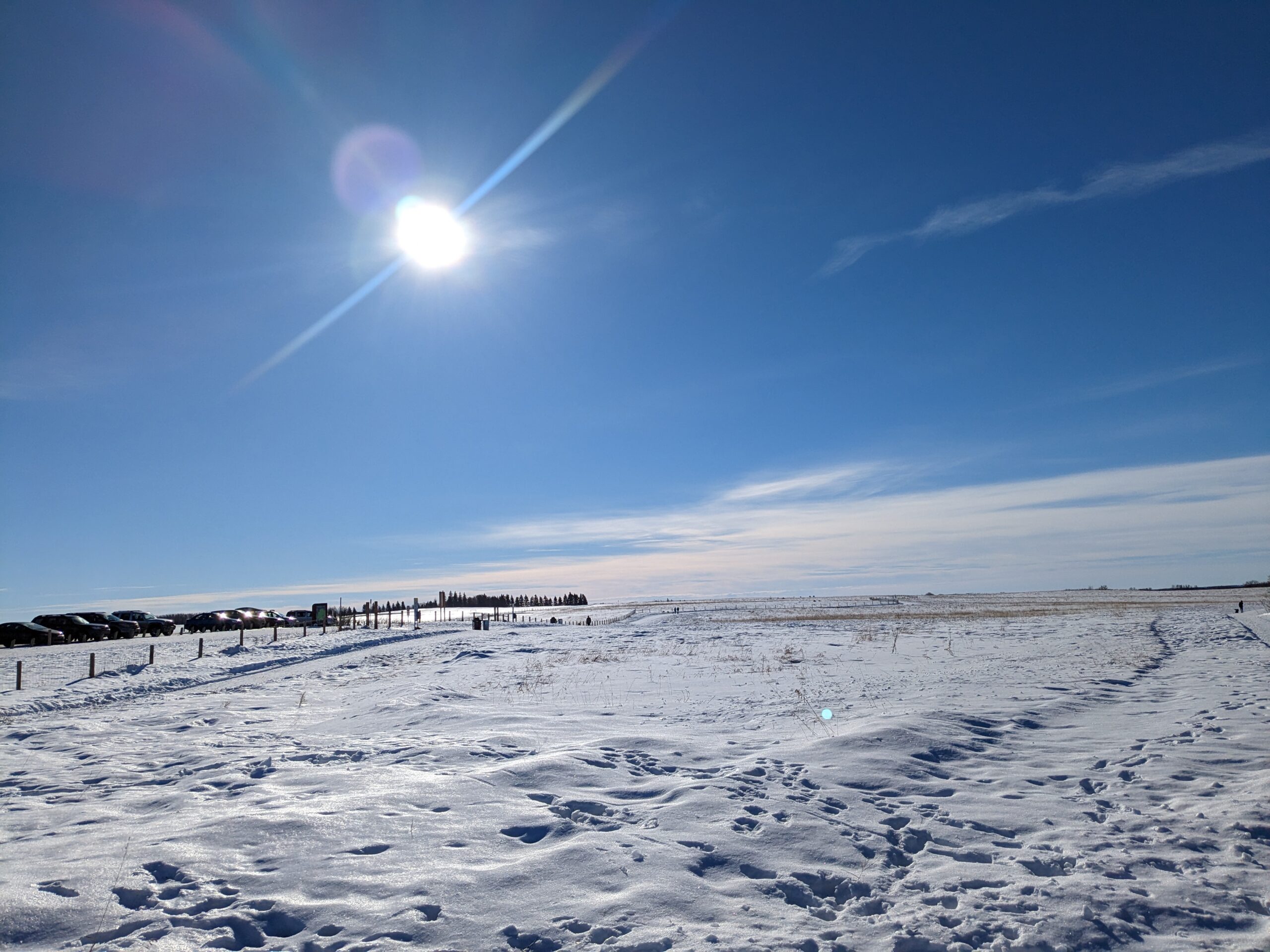 Saskatoon Dog Parks