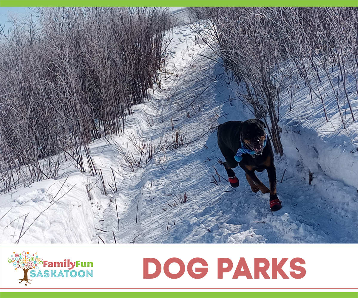 Saskatoon dog parks