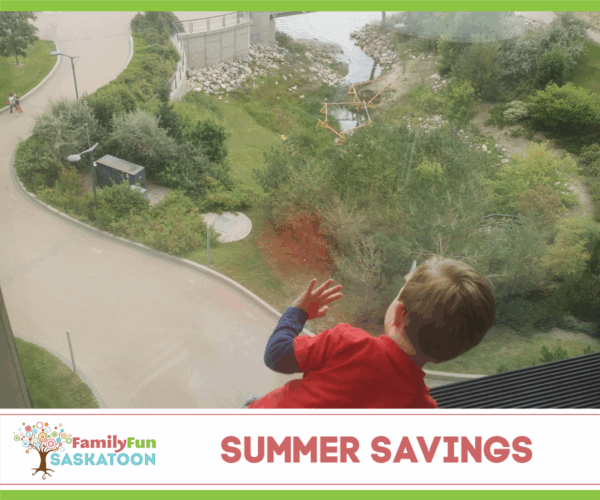 Summer on a budget