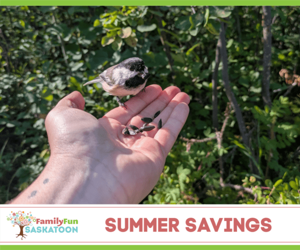 Summer on a budget