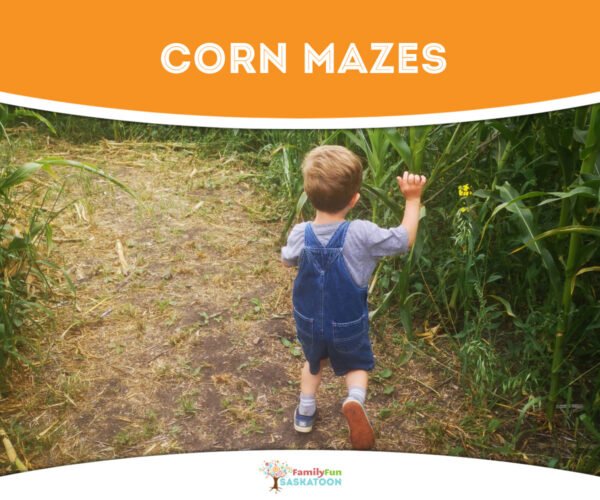 Saskatchewan Corn Mazes