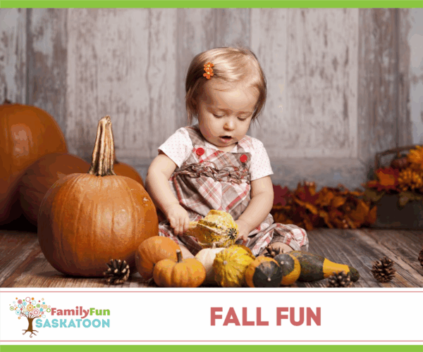 Saskatoon Pumpkin Patches