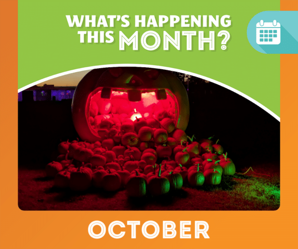 October Saskatoon Events