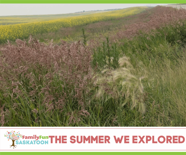 The Summer We Explored