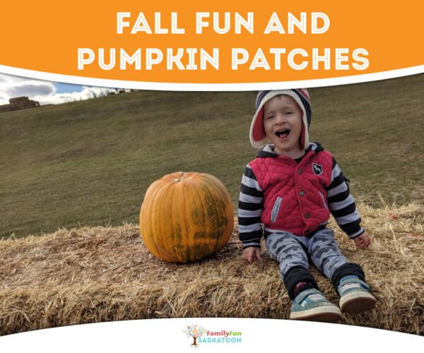 Saskatoon Pumpkin Patches