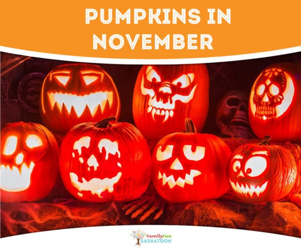 Pumpkins in November
