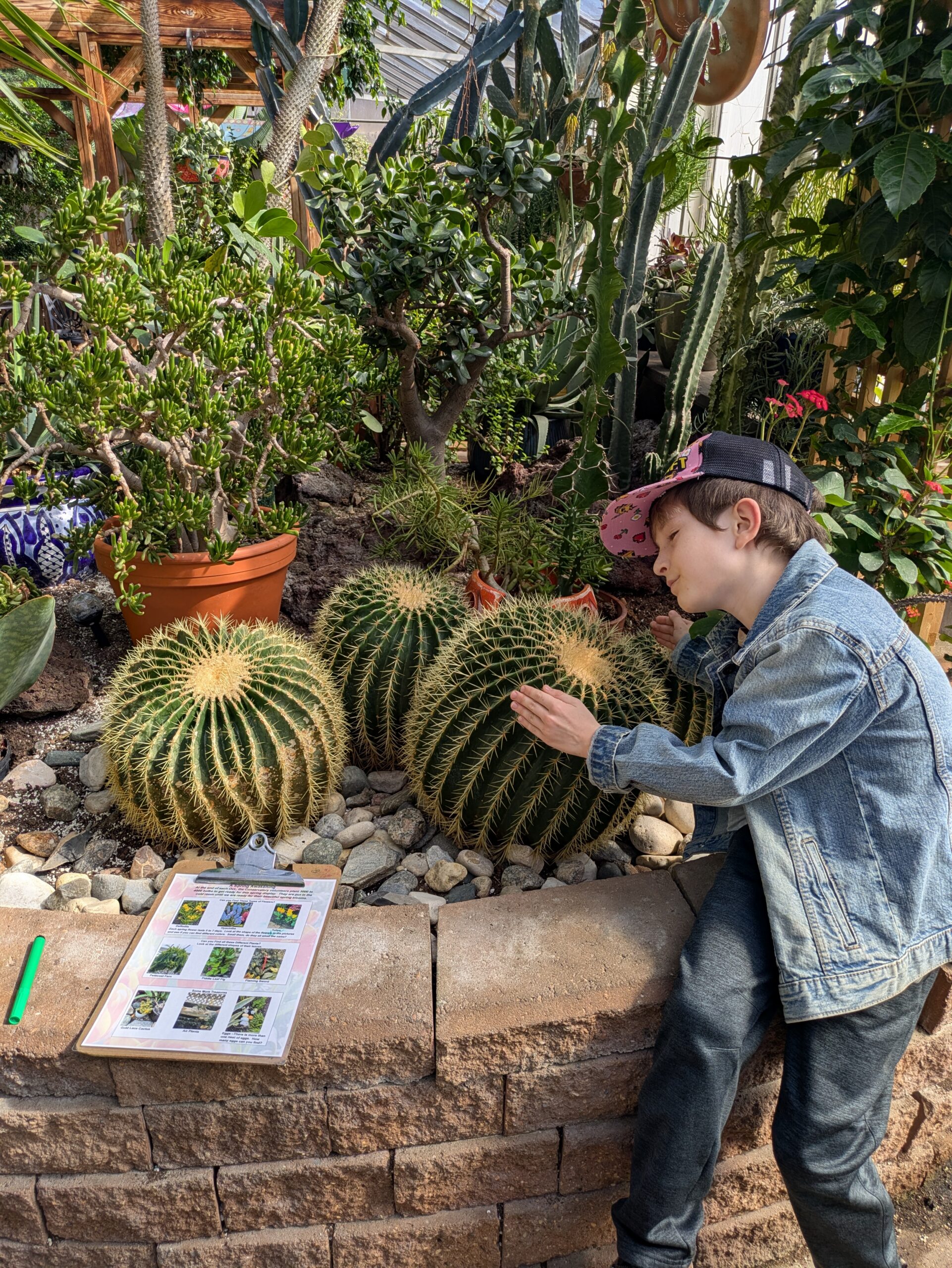 Regina Floral Conservatory - cactus