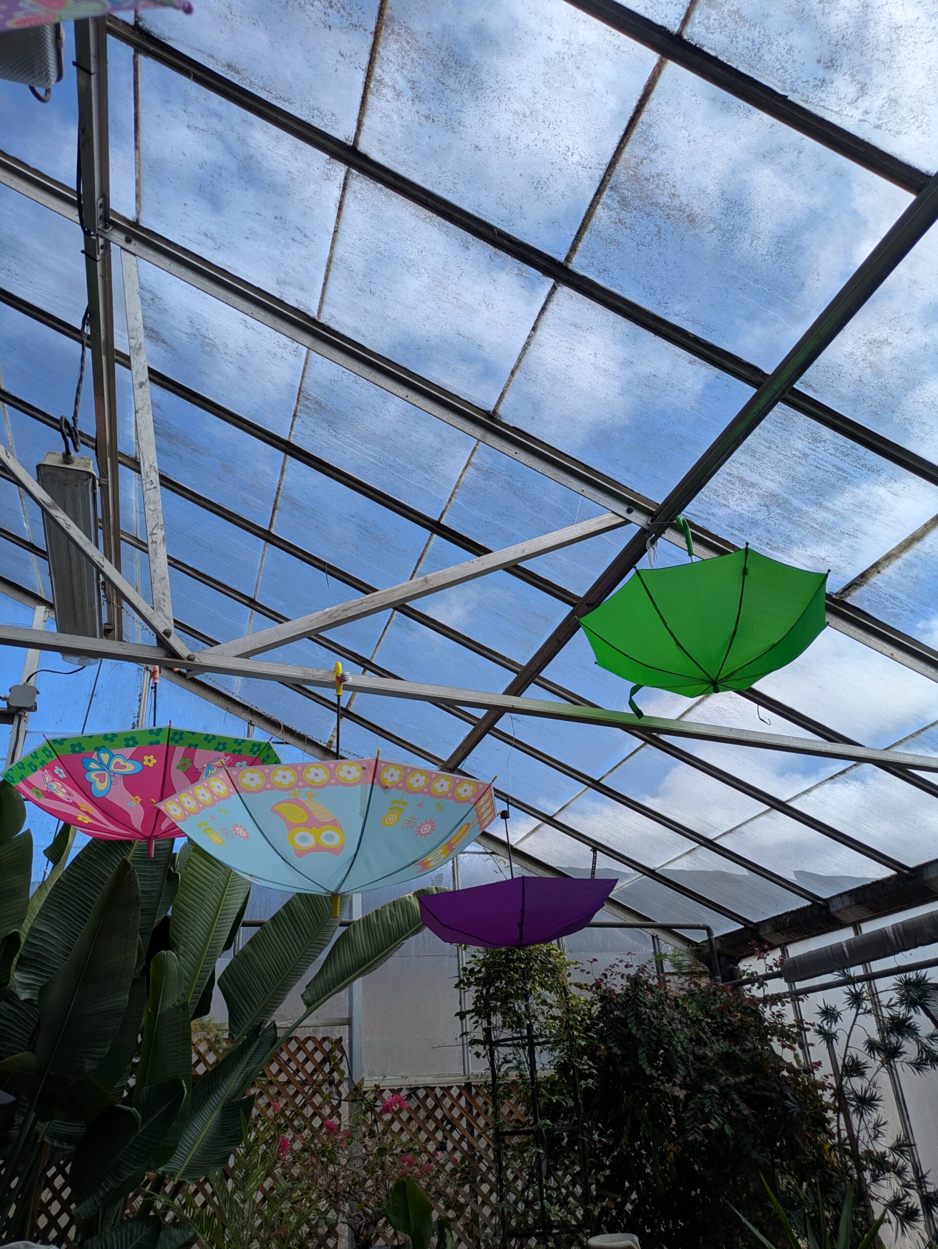 family fun in Regina floral conservatory