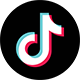 TikTok Icon