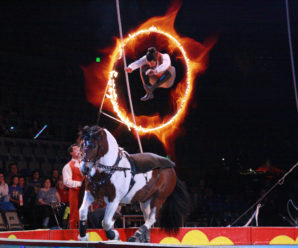 Royal Canadian Circus