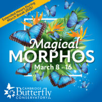 Cambridge Butterfly Conservatory March Break (Family Fun Toronto)