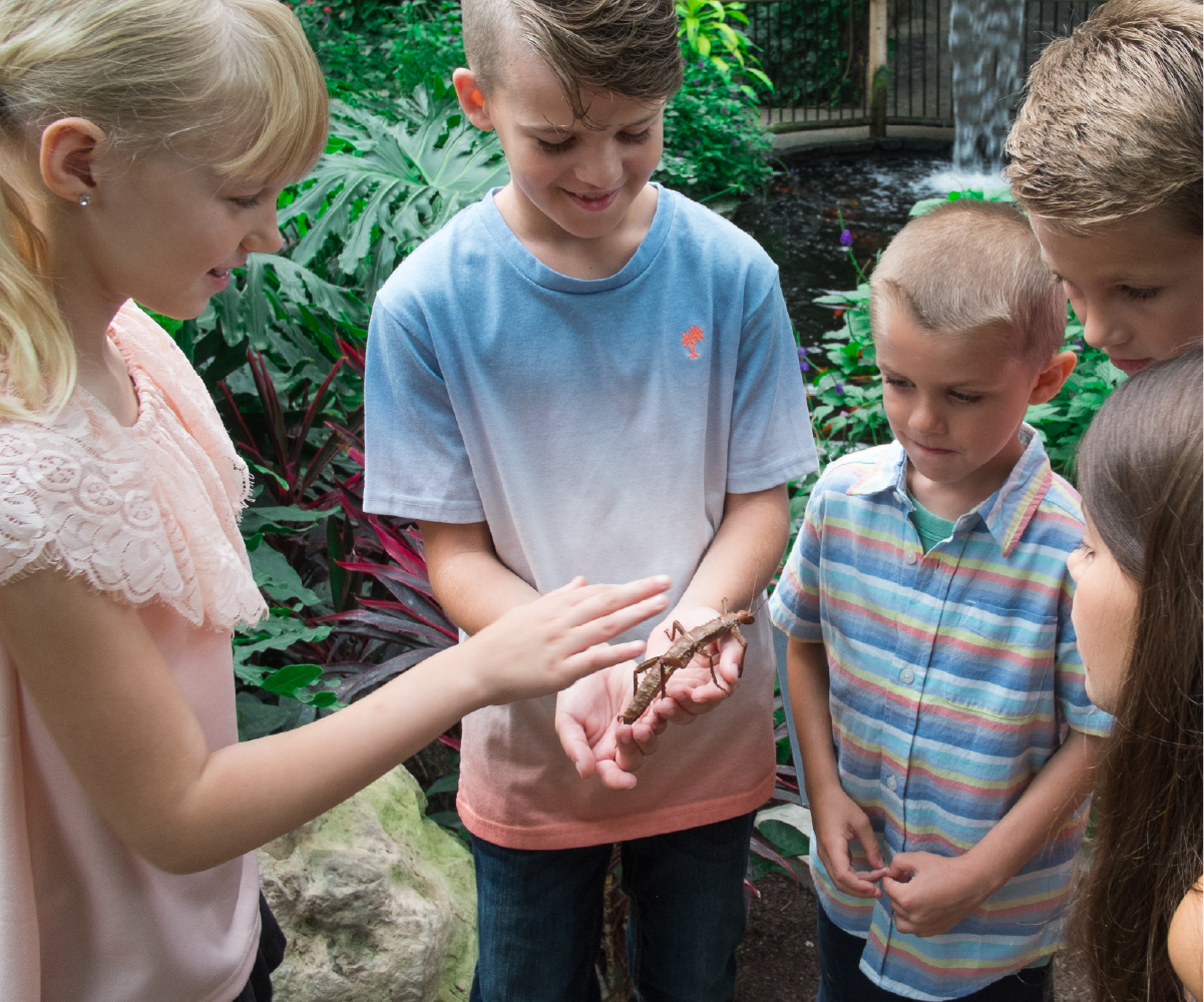 Cambridge Butterfly Conservatory March Break (Family Fun Toronto)